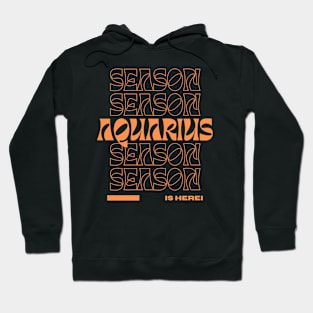 Aquarius Season Hoodie